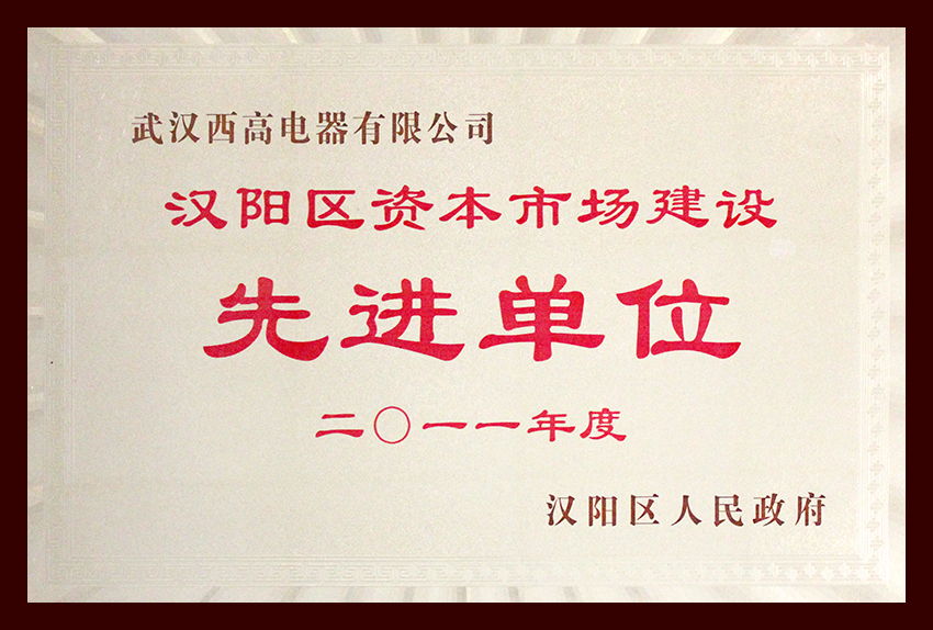 区政府先进单位